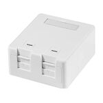 OPENETICS® 2-Port Keystone Jack Surface Mount Box